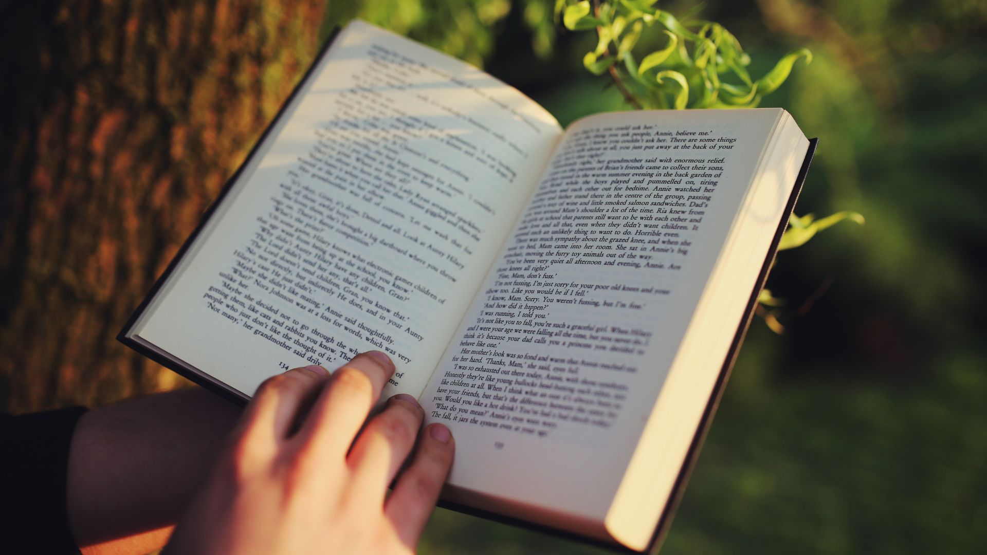 Recomandări de cărți romance scrise de autori români contemporani